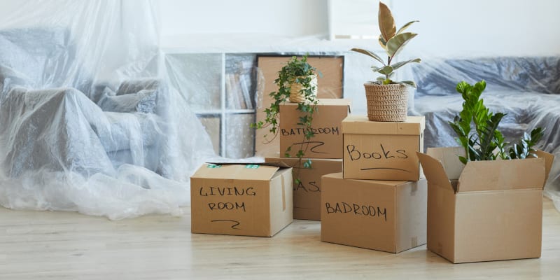 Make Moving Easy With Packing Services